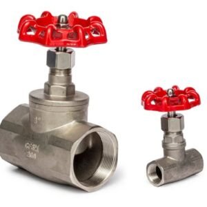Válvula de Globo Inoxidable Roscada